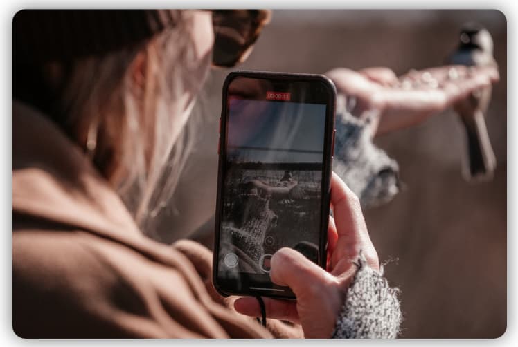 A woman recording a video of a sparrow sitting on her hand